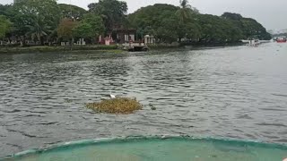 kerala boat ride videos @trendingonline353 #keralatour #naturalscene #new