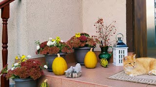 🍁Впускаю Осень в Дом🏠 Кухня Нарядилась в Осенний Декор🍄 Баклажаны "Лодочки" в Духовке #дом #декор