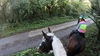 GoPro - Autumn Horseriding 🐴