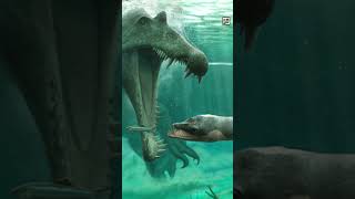 Quick Plesiosaurus Facts - The Sea MONSTER of the SINEMURIAN - Animal a Day Ancient Week #animals