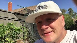 DIY Garden Bed Transformation: Installing Shade Cloth Roof