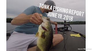 Tonka Fishing Report June 19, 2018