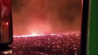 California forest fire jungle