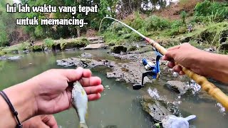 TEMPAT FAVORIT UNTUK MENCARI IKAN ‼️,Mancing Bader Ekor Kuning Pakai Uler Kandang