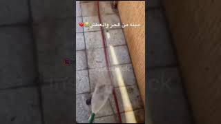 اهم شي شربها 😭