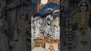 Radha madhav Astasakis Darshan of Ras purnima 🤍🤍🤍🙏 #iskcon #radhe #raspurnima Must watch 🙏