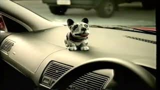 AAMI Insurance Dog through Sunroof Sequel - 2003 Australian TV Ad