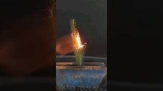 burning grass slowmotion #satisfying #slowmotion #slowmo #grass