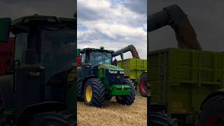 John Deere 🦌 s překládacím vozem a sklizeň obilí 🌾 #tractor #tractorvideo #village #agro #farming