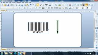 Using the Right Barcode & the Right Size: BarTender Barcoding Software Demo