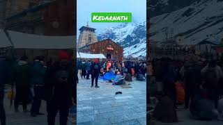 #kedarnathtemple #trendingshorts #trevelblogger #badrinath