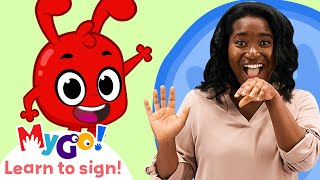 Learn Sign Language with Morphle! | Five Little Ducks |  MyGo! | ASL for Kids