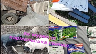 Сію капусту в парник. Замовили багато шлаку. муркоче моя свинка. 29.03.2024