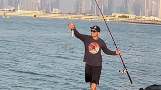 Dubai Fishing #dubaicanal  #dubaiofwlife