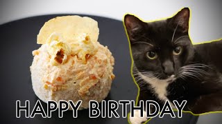 I made a Birthday cake for my cat!