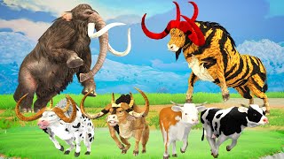 Woolly Mammoth Vs Giant Tiger Bull Fight | 2 Bulls attack Cow Cartoon Saved by Mammoth Elephant