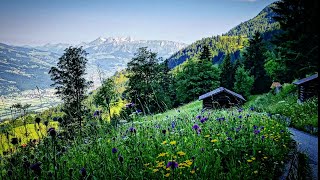 Thru Hiking The Via Alpina Green Trail Stage C1 Sücka To Vaduz Liechtenstein Switzerland 12km