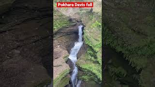 Pokhara Davis Fall #shorts #pokhara