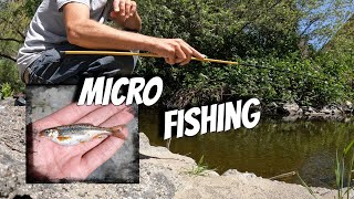 Micro Fishing - Wow Look At This Little Guy!