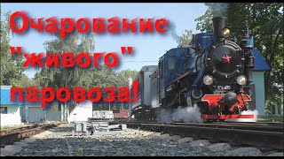 Красота и очарование паровоза! Кп4-430 и его друзья!