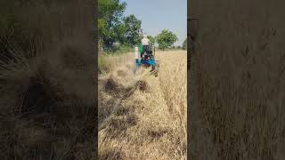 गेहूँ धान कि कटाई करे मिंटो में Wheat Reaper Rice Reaper Farming machine Agriculture katai kimachine