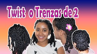 Cómo hacer TRENZAS de dos o TWIST, peinados con trenzas de dos, estilo protector