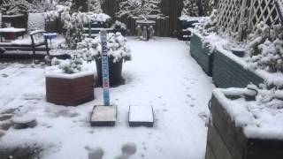 De-icing salt - melting snow (time lapse)