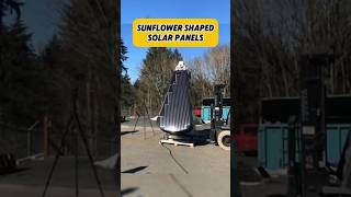 Unique solar panel in the shape of a sunflower  #factsdaily #factshorts #uniqueshorts