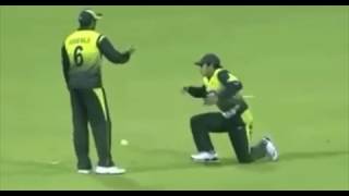 Best Funny catch drop in cricket