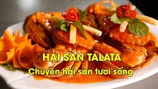 Hải sản Talata 14 Huỳnh Thúc Kháng – Nhà hàng hải sản tươi sống |PasGo.vn