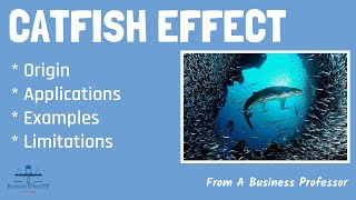 What is Catfish Effect? | From A Business Professor