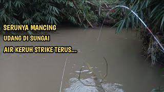 DI SUNGAI AIR KERUH UDANGNYA BANYAK BANGET FULL STRIKE UDANG BOS!!|(#@AceSober-mk4bt )