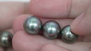 10pcs "Mid High luster" Multicolor 11mm - RSR AAA/TOP Quality Tahitian Pearl Auction LOT41 WP103