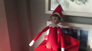 My elf on the shelfs are here