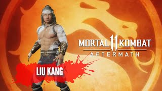 MK 11 Aftermath - Liu Kang (Combos+Arcade Ladder)