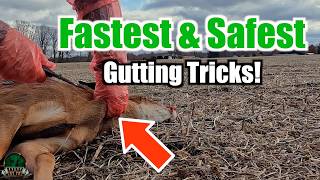 Field Dress a Deer in Minutes: Fast & Safe Gutting Tips for Every Hunter