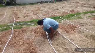 DIY drip irrigation system #diy #garden #dripsystem