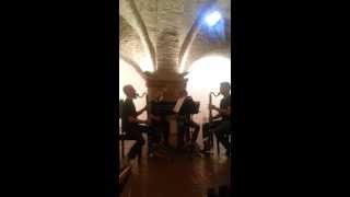 Seventh Furnace (bass clarinet quartet) live in Assisi, Italy