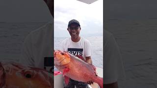 Pulau Tujuh Pasanea spot mancing mandas Jigging dan || Ultralight Fishing