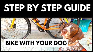 Step by Step Guide to Bike with Your Dog