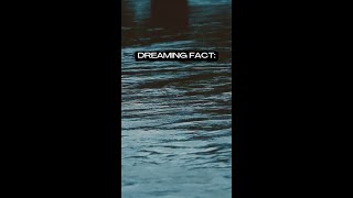 Have You Had a Falling Dream? | Here's What It Means...