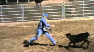 Brett Calf Roping Practice