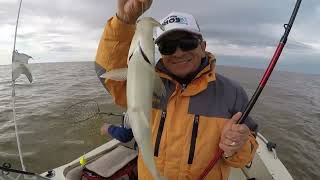 Que pescadazo que tenes rio de la plata // pesca y amigo