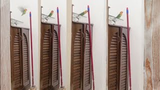 Sensible parrot throwing things - Funny Parrot trying to throw brush #Shorts #youtubeshorts