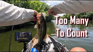 Epic Bass Fishing on the Chicago River | Top Water, Wacky Rig & Swim Jig Techniques | Kayak Fishing