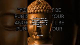 How Buddha Quotes Can Change Your Life