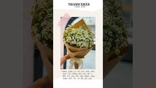 Thanh Xuân | Thanh Bình