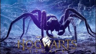 Hogwarts Legacy - Arachnophobie !! No Damage Pc 4K 60fps.