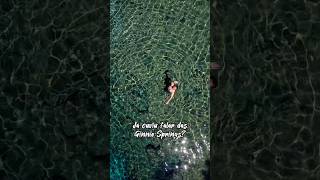 Ginnie Springs: uma ótima opção de passeio em Gainesville, a 3 horas de Orlando! É lindo demais! 😍