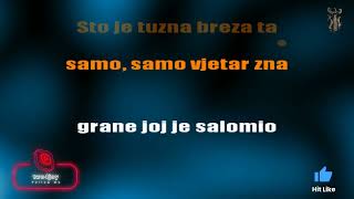 Što Je Tužna Breza Ta - Karaoke version with lyrics